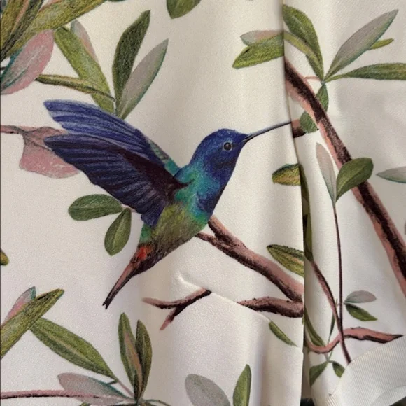 Ted Baker Evrely midi dress It’s Spring! Hummingbirds! Midi Dress Sz 4 = USA 10 - Picture 1 of 14